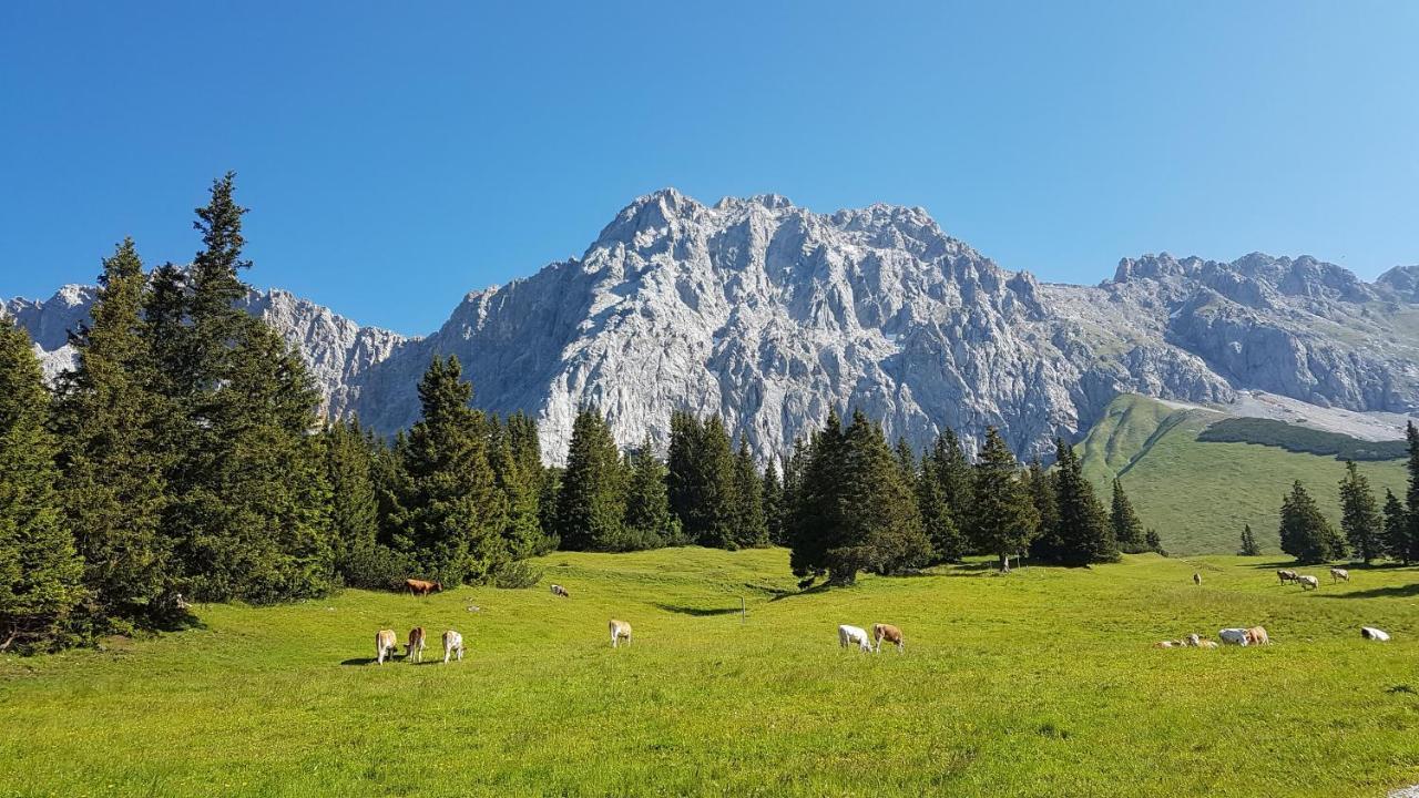 Ferienhaus Villa Alpenpanorama Ольштадт Экстерьер фото